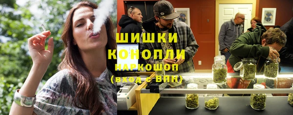 молекула духа Бугульма